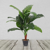 105cm Artificial Elephant Ear Plant (Colocasia) - Extra Large