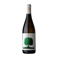 Cossetti Gelsomora Gavi 2019