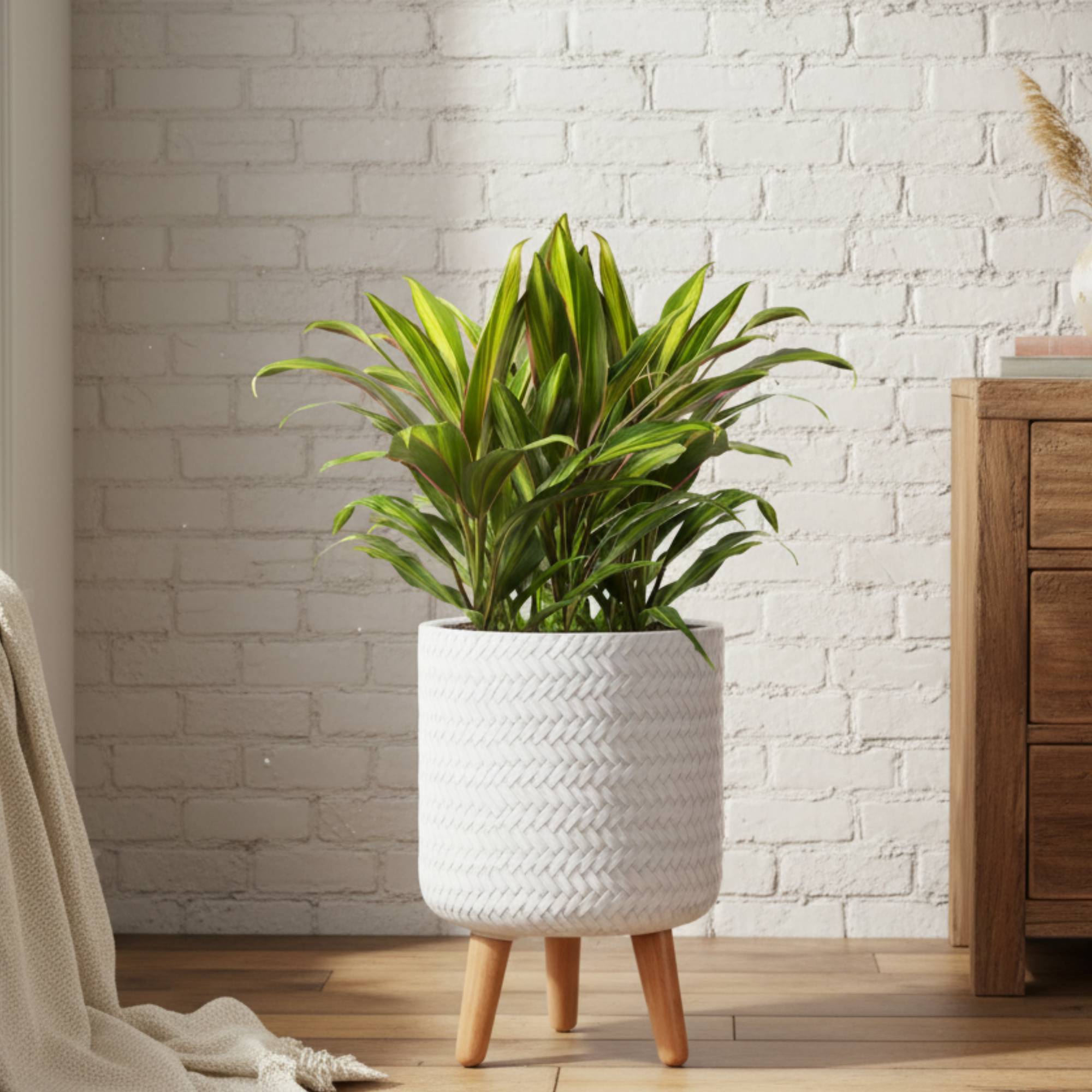 large indoor planter on legs Large Idealist Plaited Round Indoor Planter with Legs – The Black Farmer