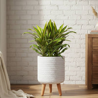 Large Idealist Plaited Round Indoor Planter with Legs