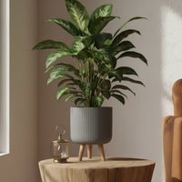 Small Idealist Ribbed Round Indoor Planter with Legs