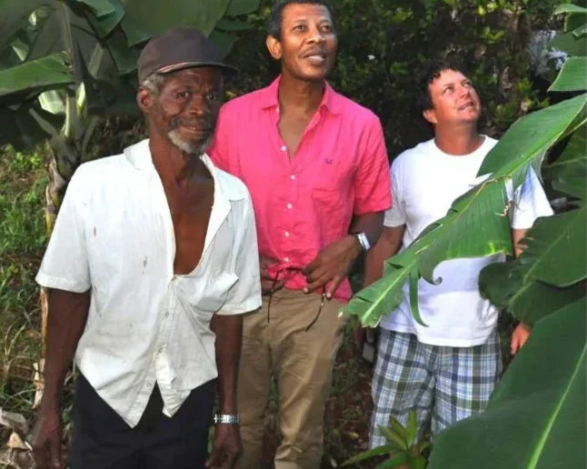Jamaican Independence Day