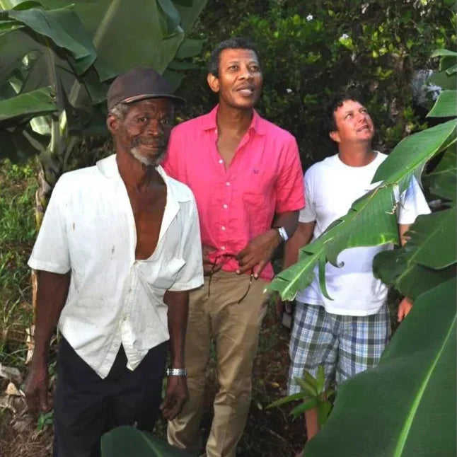 Jamaican Independence Day