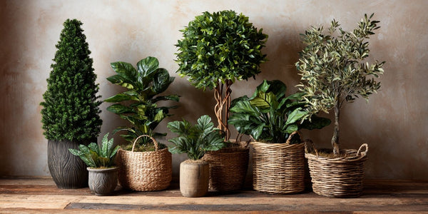 Artificial Large Plants & Trees