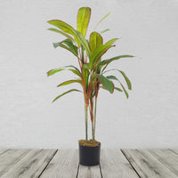 100cm Artificial Potted Dracaena Tropical Plant