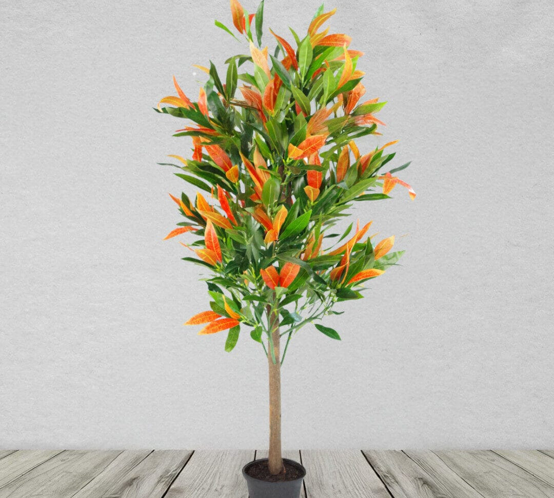 140cm Artificial Codiaeum Tree with 179 Leaves