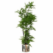 Artificial Natural Moss Base Fern Foliage Plant with Planter