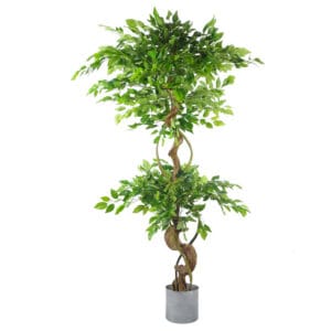 150cm-twisted-trunk-artificial-japanese-fruticosa-ficus-tree-silver-planter.jpg