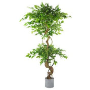 Twisted Trunk Artificial Japanese Fruticosa Ficus Tree with Planter
