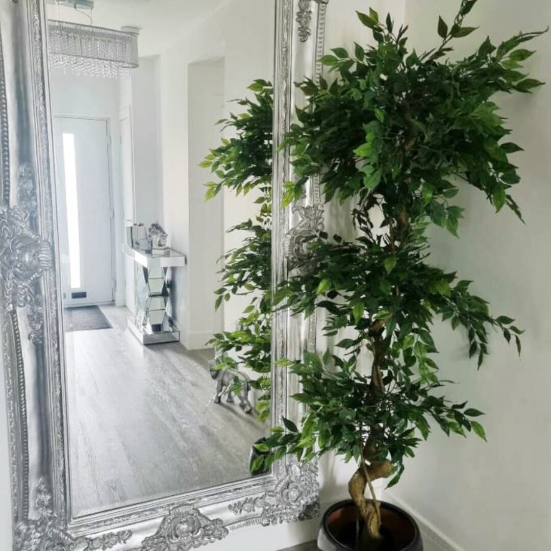 180cm Artificial Twisted Trunk Fruticosa Ficus Tree Triple Ball Topiary 1984 Leaves
