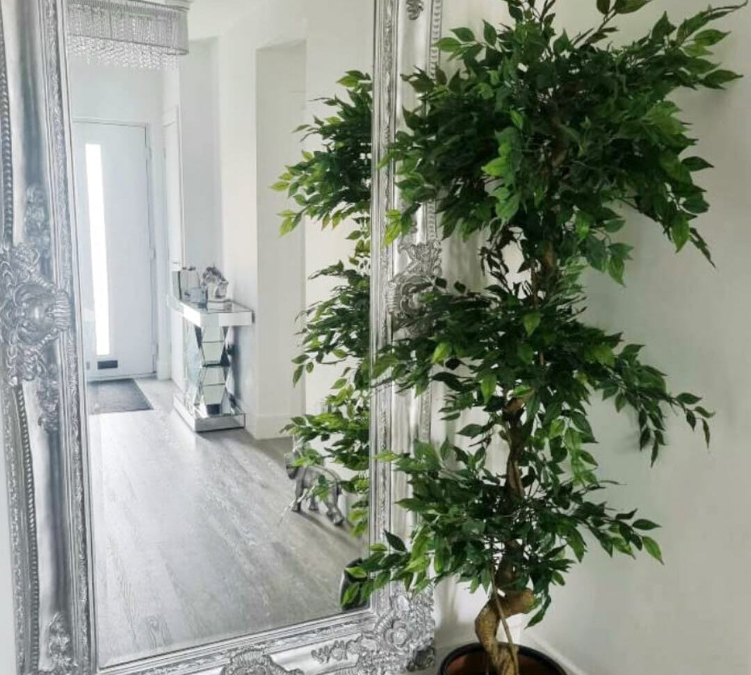 180cm Artificial Twisted Trunk Fruticosa Ficus Tree Triple Ball Topiary 1984 Leaves