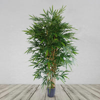 180cm Premium Uv Resistant Bamboo