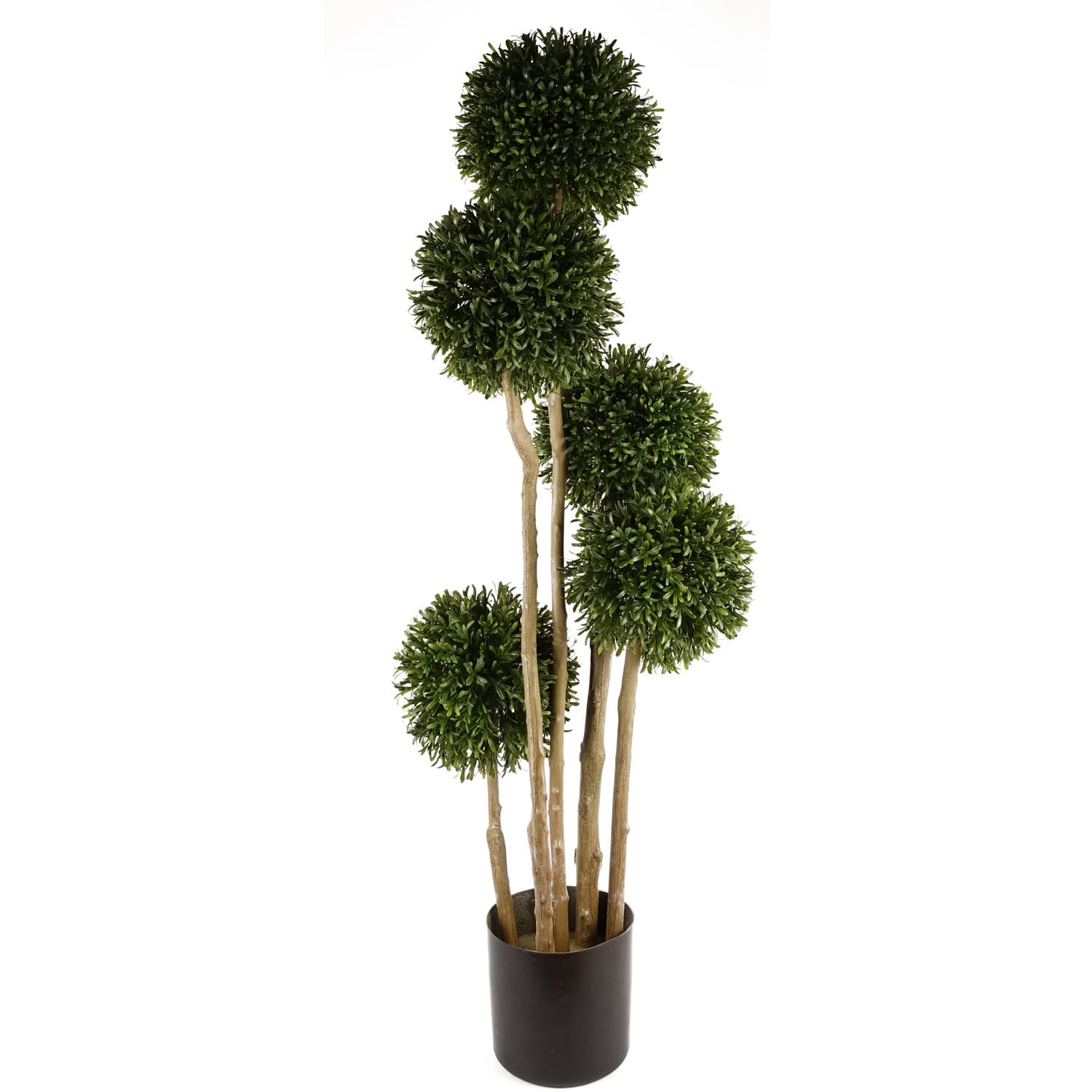 480-leaves-topiary_c9f32af7-70c1-4627-87f3-f98123972997.jpg