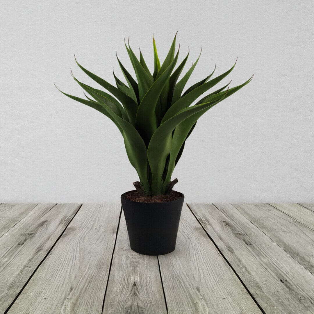 55cm Artificial Yucca Plant
