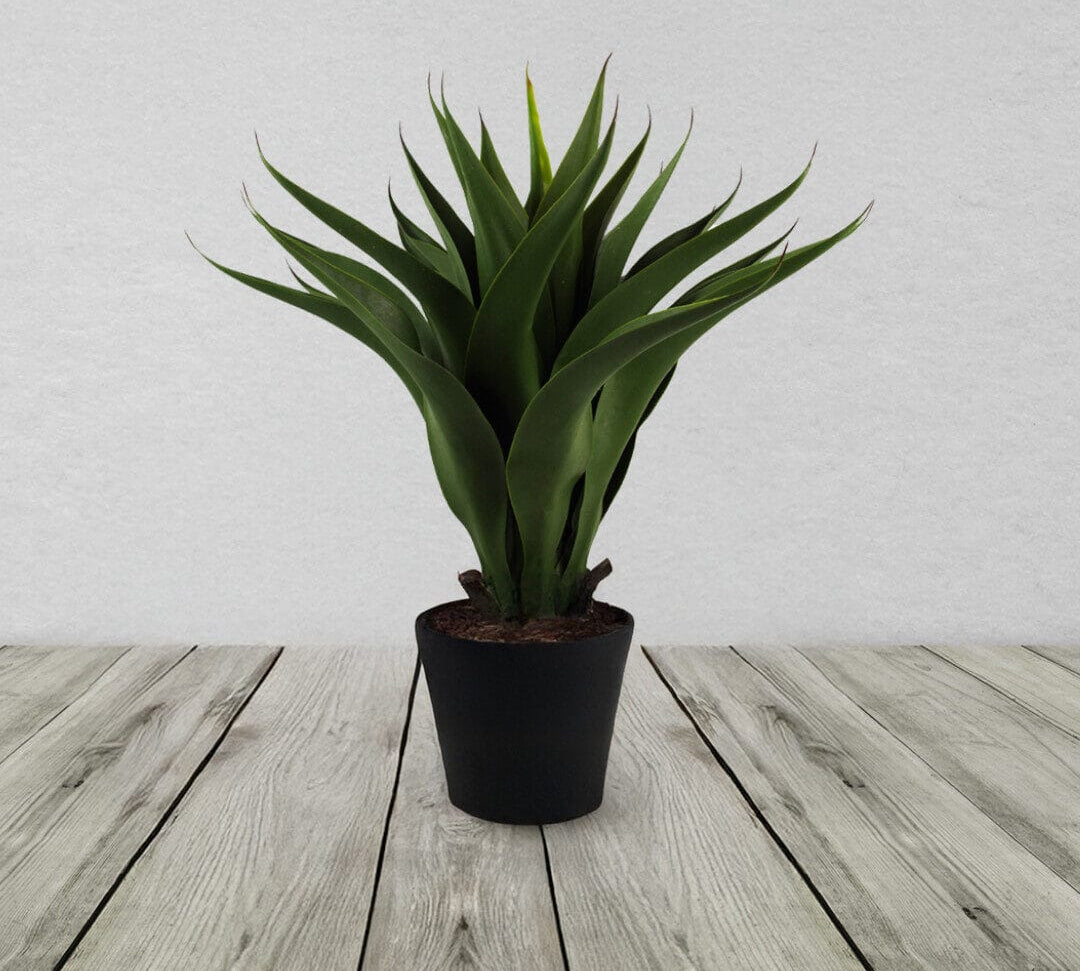 55cm Artificial Yucca Plant
