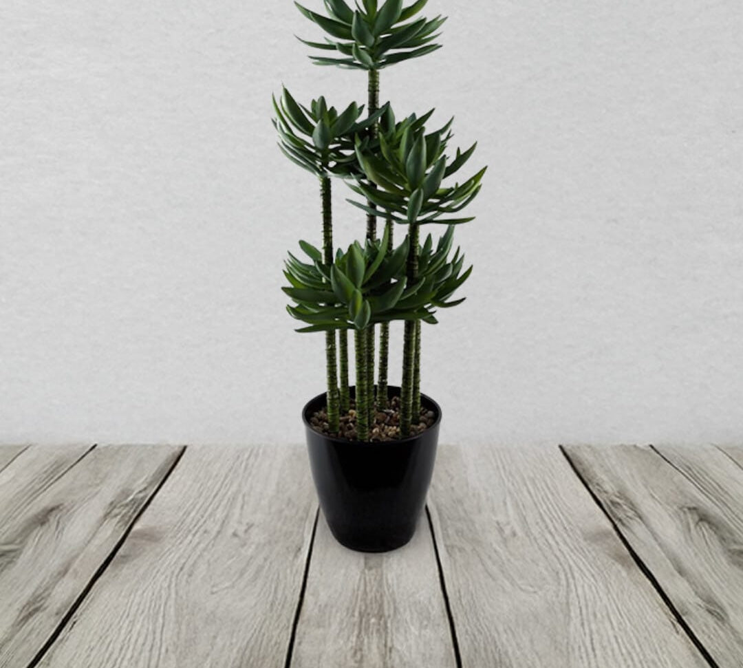 60cm Artificial Tropical Yucca In Planter