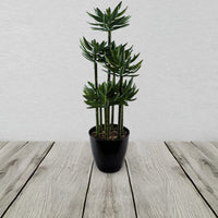 60cm Artificial Tropical Yucca In Planter