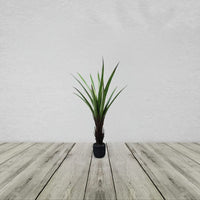 90cm UV Resistant Artificial Yukka Plant