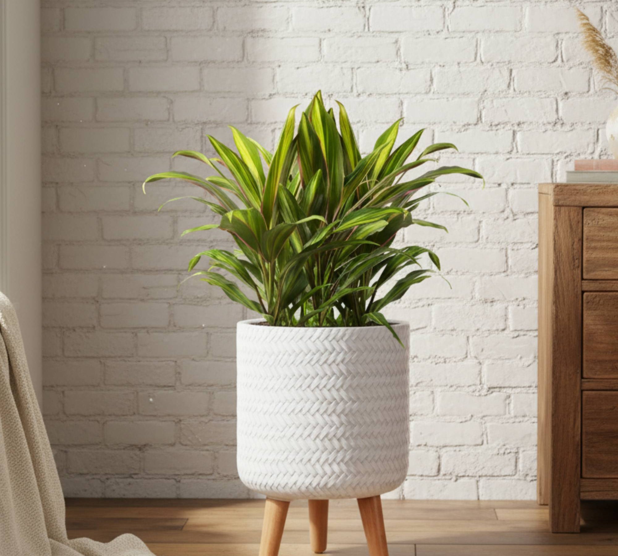 large plant pot with legs Large Idealist Plaited Round Indoor Planter with Legs – The Black Farmer