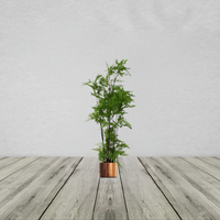 Artificial Natural Moss Base Fern Foliage Plant with Planter