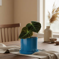 Navy Marble 'bloom' Set - Blue Rope