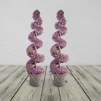 Pair of Purple Spiral Leaf Topiary Trees with Decorative Planters