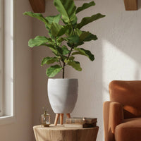 Small Idealist Striped Indoor Egg Planter with Legs
