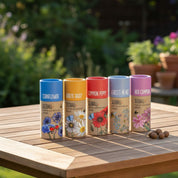 Wildflower Seedball Tube - Pack of 20
