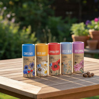 Wildflower Seedball Tube - Pack of 20