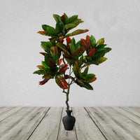 Artificial Codiaeum Multicoloured House Plant 130cm 1