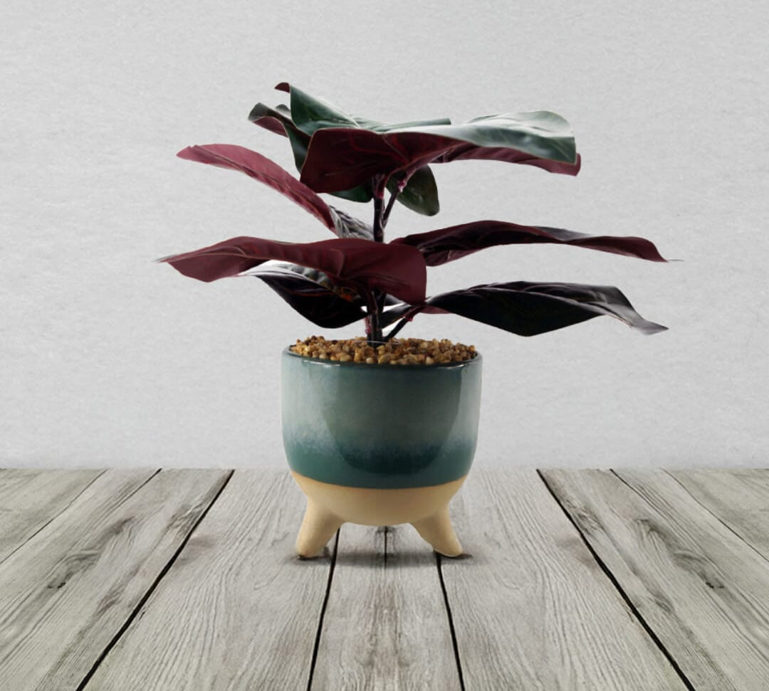 Artificial Ficus Plant With Teal Blue Green Ceramic Planter 35cm
