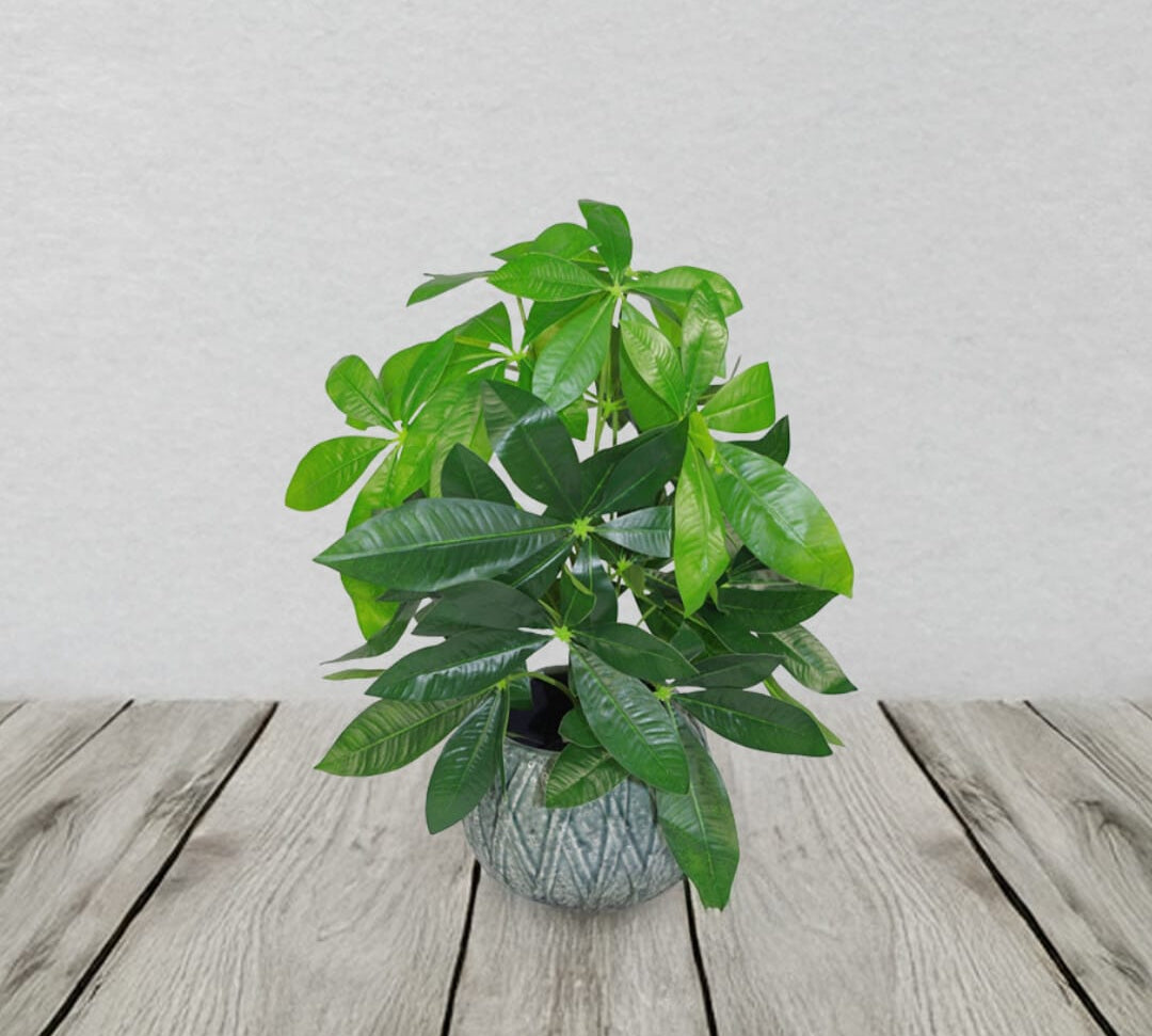 Artificial Money Tree Plant 50cm 1