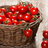 Baby Tomatoes