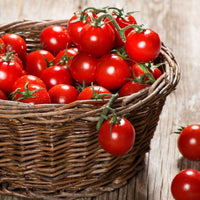 baby tomato's
