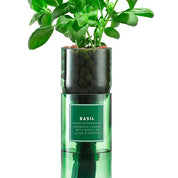 Eco-Friendly Hydro Herb Kit