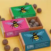 Bee-Friendly Wildflower Seed Box2