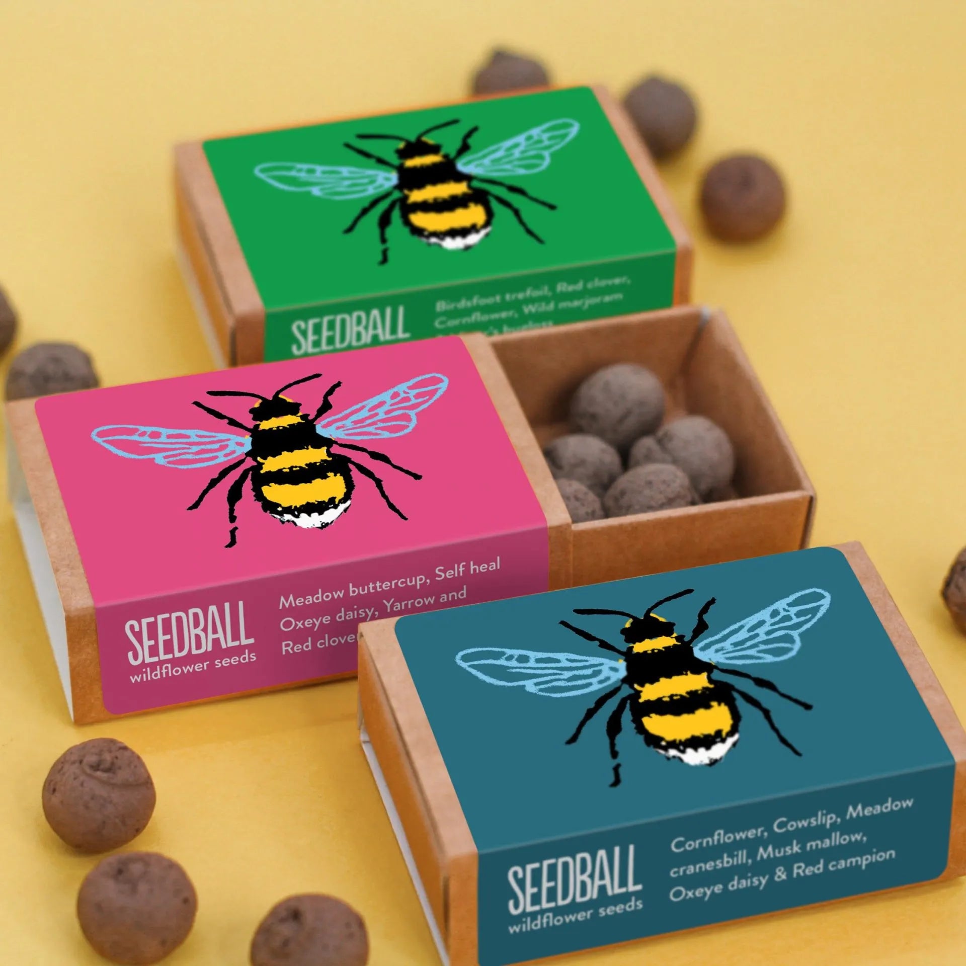 Bee-Friendly Wildflower Seed Box2