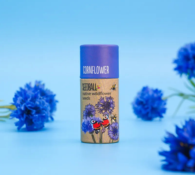 blue-cornflower-wildflower-seed-tube-seedballs_b3d66a6a-80a2-448e-9f66-986aabdf3d8f.webp