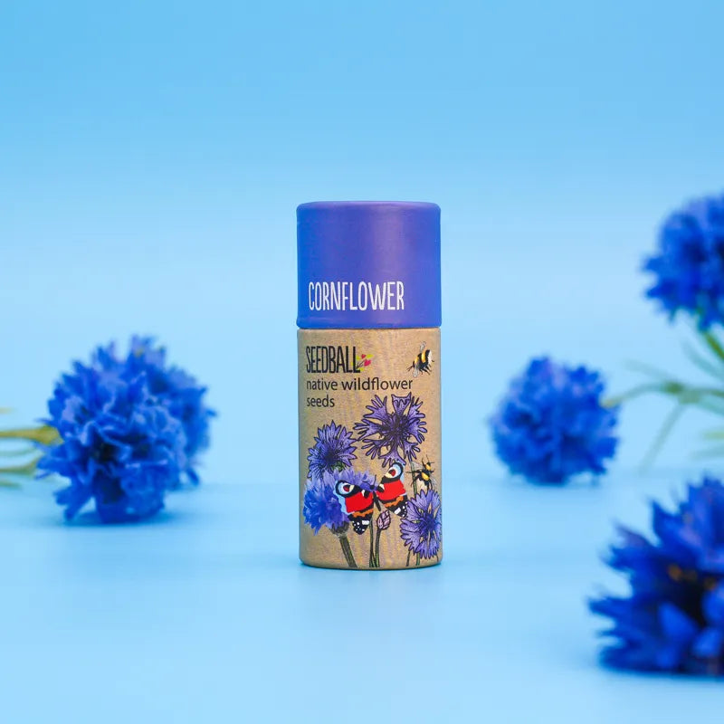 blue-cornflower-wildflower-seed-tube-seedballs_b3d66a6a-80a2-448e-9f66-986aabdf3d8f.webp
