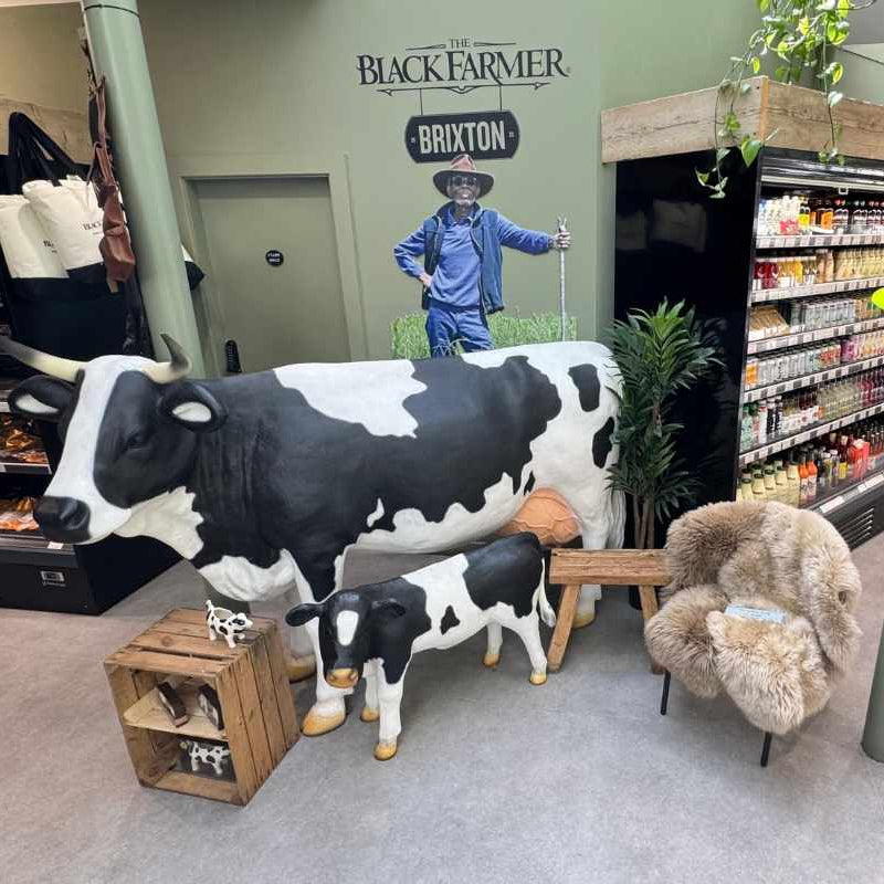 Display of cow statues and a small cow model in a store setting with 'Black Farmer' branding.