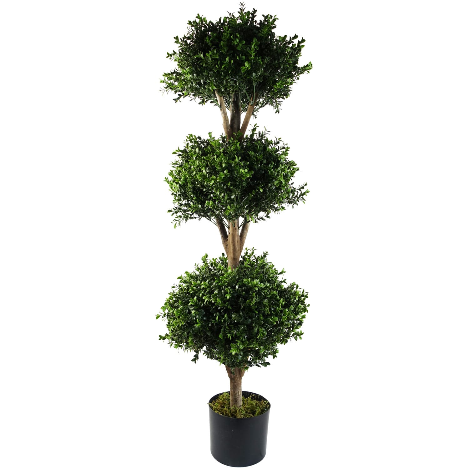 buxus-triple-ball_d8819c1d-9dab-483d-af28-0185cf8e027e.jpg