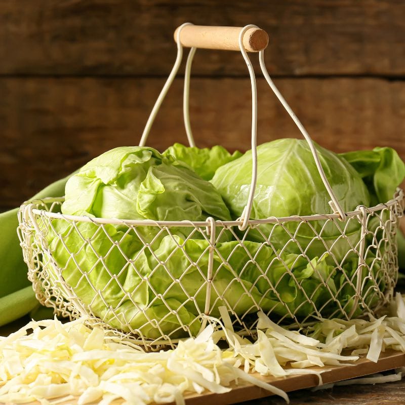 Cabbage
