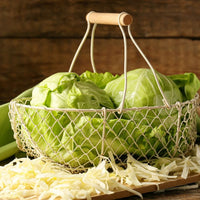 Cabbage