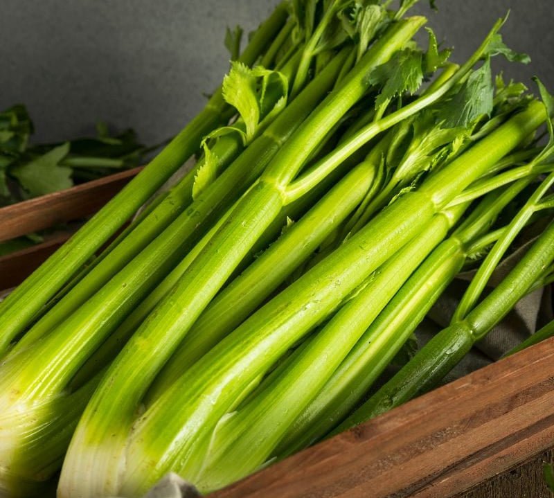 Celery
