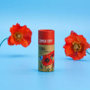 Wildflower Seedball Tube - Pack of 20