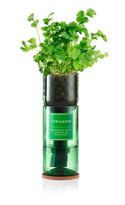 Eco-Friendly Hydro Herb Kit