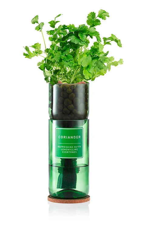 Eco-Friendly Hydro Herb Kit