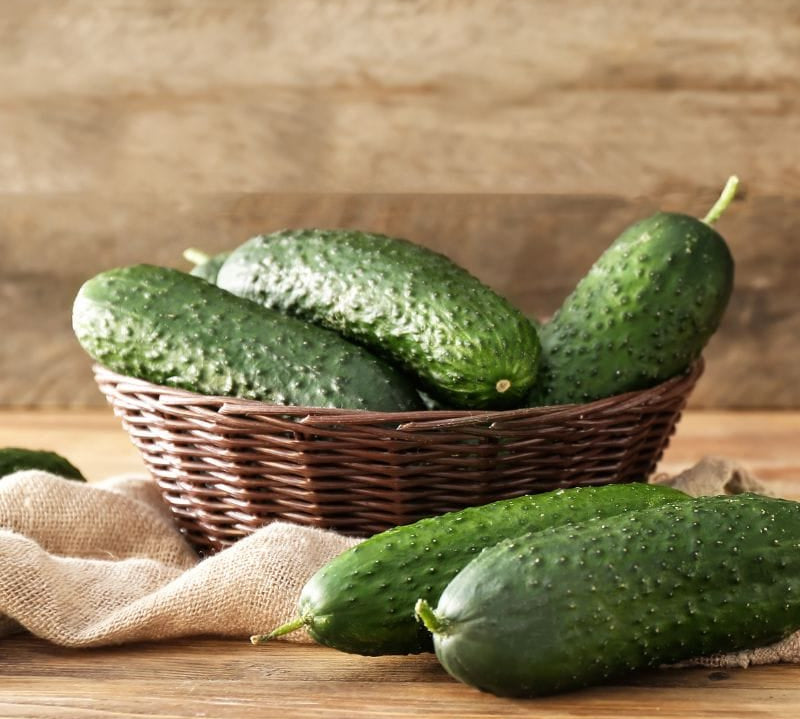 Cucumber