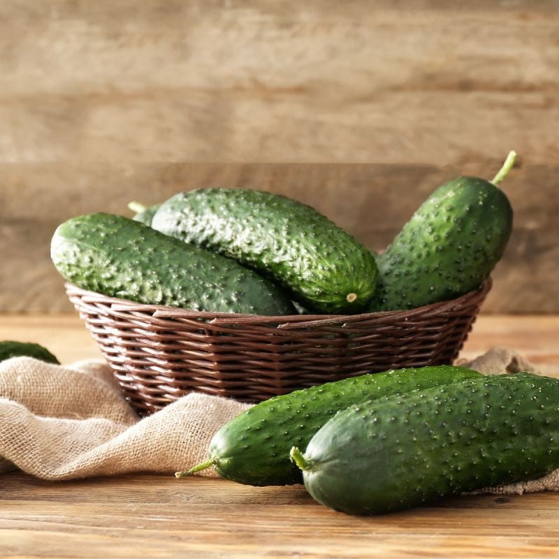 Cucumber