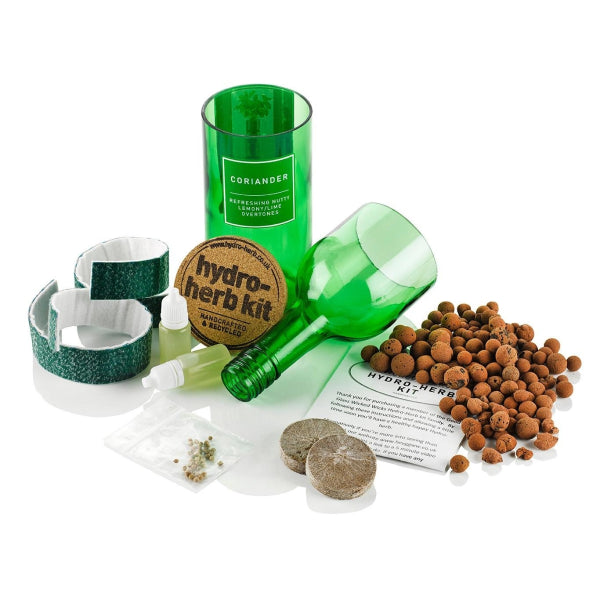 Eco-Friendly Hydro Herb Kit - Coriander
